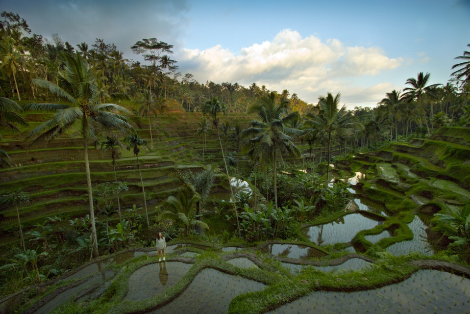 Zeynep-Ubud-Rice-FieldsIMG_8135